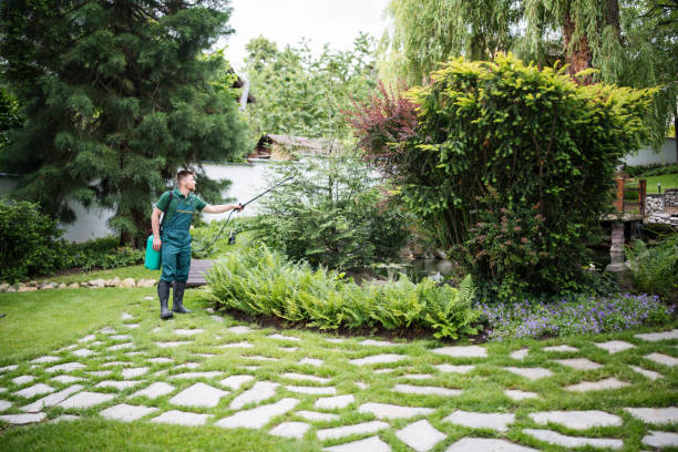 Best Ant Control Services  in Pierce, CO