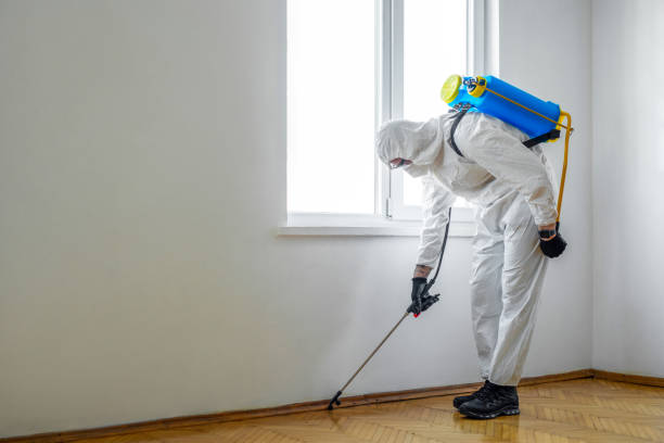 Best Affordable Pest Control Services  in Pierce, CO