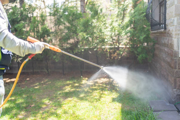 Best Affordable Pest Control Services  in Pierce, CO