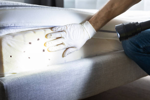Best Wildlife Control Services  in Pierce, CO