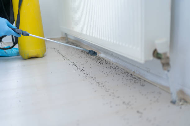 Best Best Pest Control Companies  in Pierce, CO