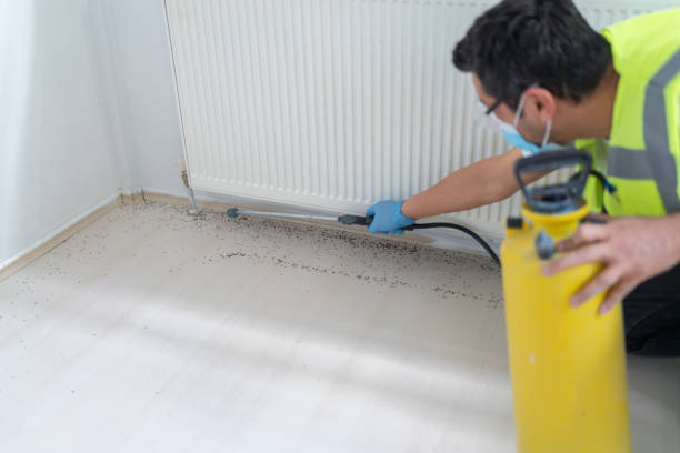 Pest Control for Restaurants in Pierce, CO